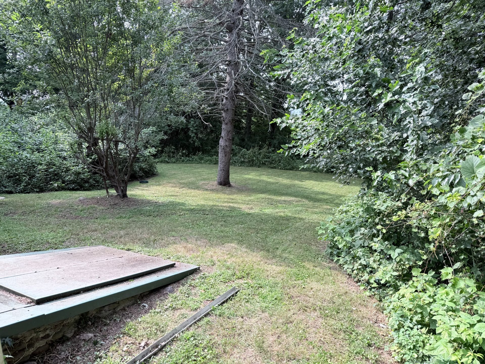 C & J Professional Lawn Care Inc. gallery photo