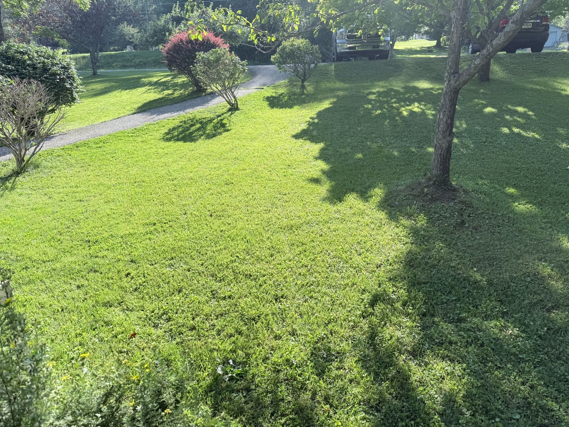 C & J Professional Lawn Care Inc. gallery photo